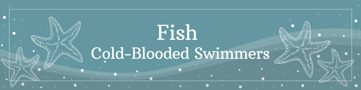 Unit 15: Fish—Cold-Blooded Swimmers Banner